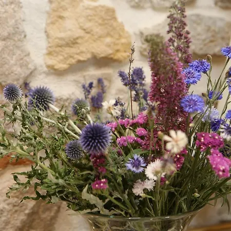 Bed & Breakfast Aux Pierres Magiques 3*